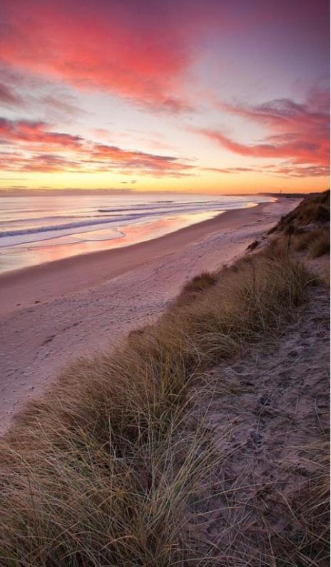 Highthel By The Northumberland Coast Morpeth